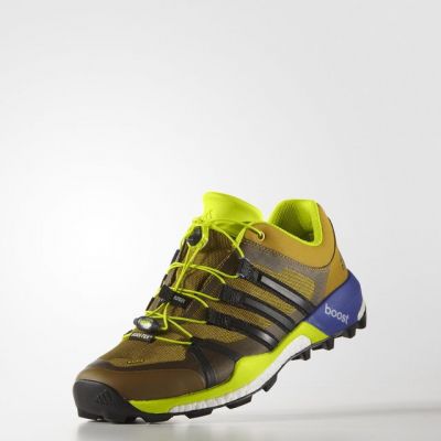 running shoe Adidas Terrex Boost GTX
