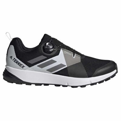 hiking shoe Adidas Terrex Two Boa Goretex