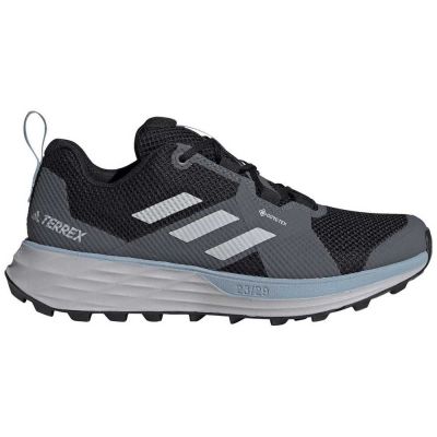 hiking shoe Adidas Terrex Two Goretex