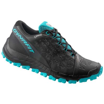 shoe Dynafit Trailbreaker Evo Goretex