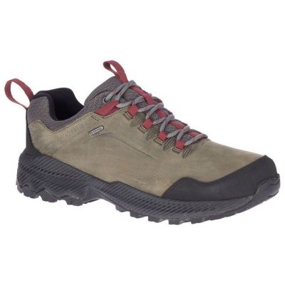 hiking shoe Merrell Forestbound WP