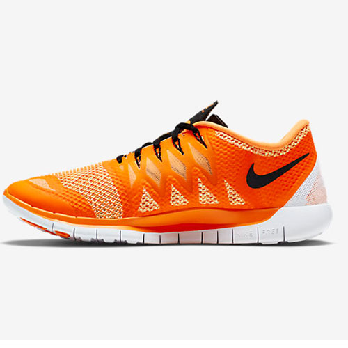 running shoe Nike Free 5.0 2015