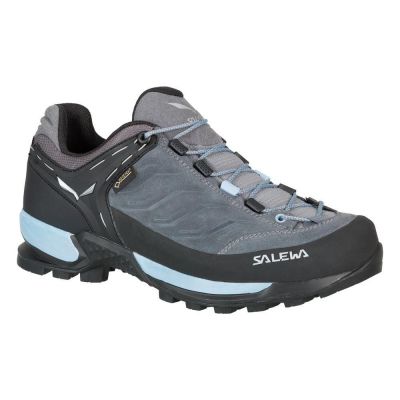 hiking shoe Salewa MTN Trainer Goretex