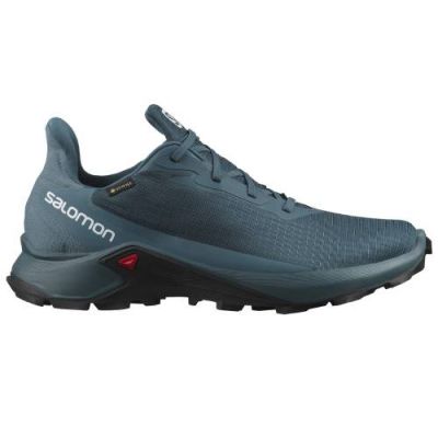 Salomon Alphacross 3 GTX Men