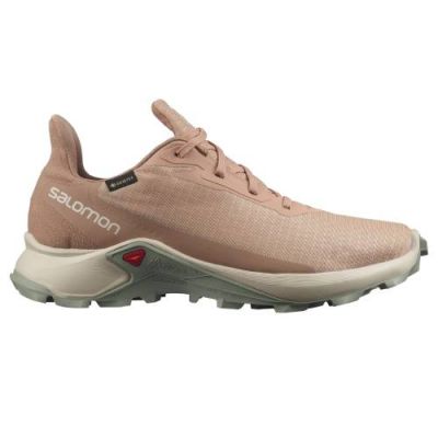 Salomon Alphacross 3 GTX Women