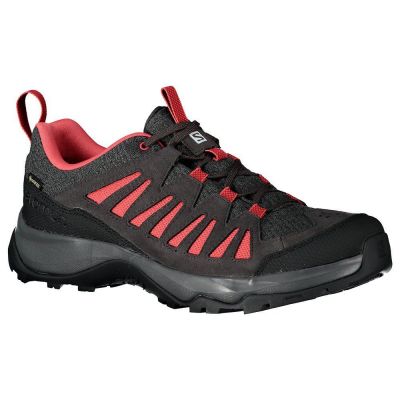 hiking shoe Salomon EOS Goretex