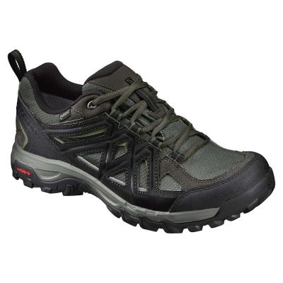 hiking shoe Salomon Evasion 2 Goretex