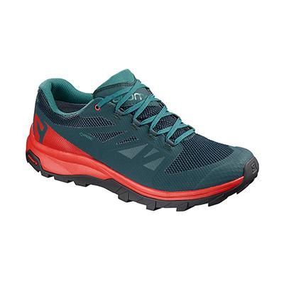hiking shoe Salomon Outline GTX