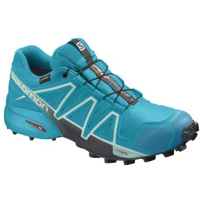 hiking shoe Salomon Speedcross 4 Goretex