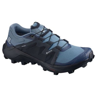 hiking shoe Salomon Wildcross Goretex