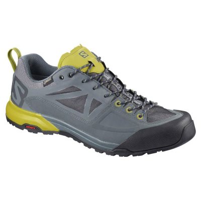 hiking shoe Salomon X Alp Spry Goretex