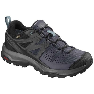 hiking shoe Salomon X Radiant Goretex