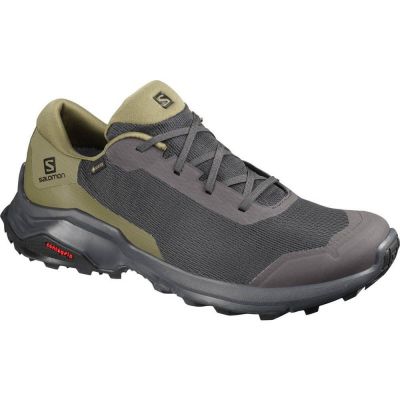 hiking shoe Salomon X Reveal Goretex