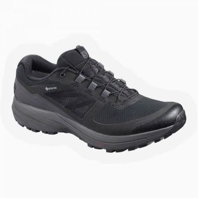 hiking shoe Salomon XA Elevate 2 Goretex