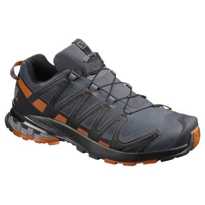 hiking shoe Salomon XA Pro 3D v8 Goretex Wide