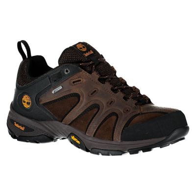hiking shoe Timberland Ledge Low Leather Goretex D