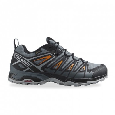 hiking shoe Salomon X Ultra Pioneer Gore-Tex