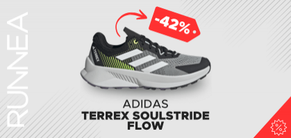 Adidas Terrex SoulStride Flow from £70.99 (before £123)