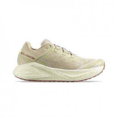  Salomon Aero Glide GRVL