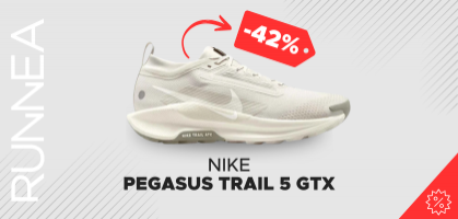 Nike Pegasus Trail 5 GTX from £75 (before £129.99)