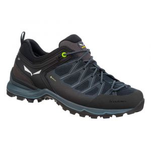 Salewa Mtn Trainer Lite Goretex Hiking Shoes