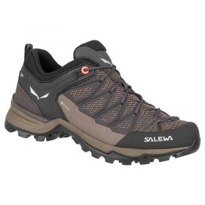 Salewa Mtn Trainer Lite Goretex Hiking Shoes