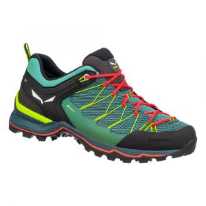 Salewa Mtn Trainer Lite Goretex Approach Shoes