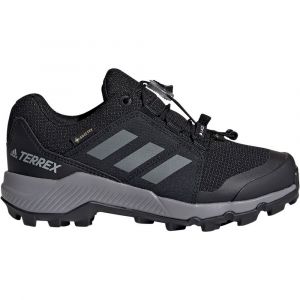 Adidas Terrex Goretex Hiking Shoes