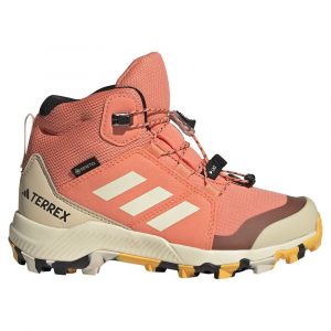 Adidas Terrex Mid Goretex Hiking Shoes