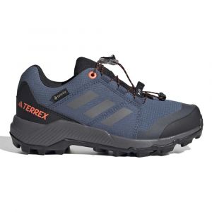 Adidas Terrex Goretex Hiking Shoes