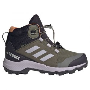 Adidas Terrex Mid Goretex Hiking Shoes