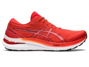 GEL-KAYANO 29