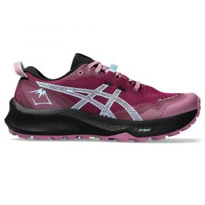 Asics alpine xt trail running shoes review best sale