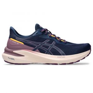 Asics Gt-1000 13 Tr Running Shoes