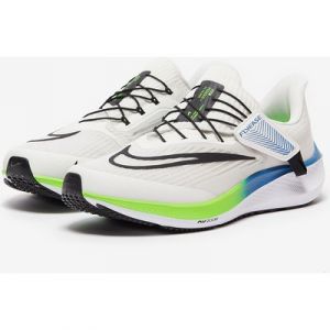 Nike Pegasus Flyease