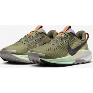 Nike Pegasus Trail 5