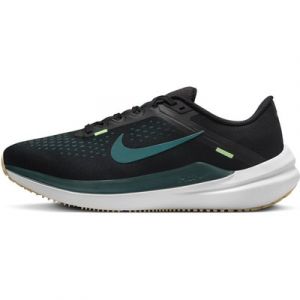 Nike Winflo 10