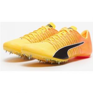 Puma evoSPEED Future 6