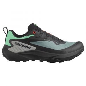 Salomon Genesis Goretex Trail Running Shoes