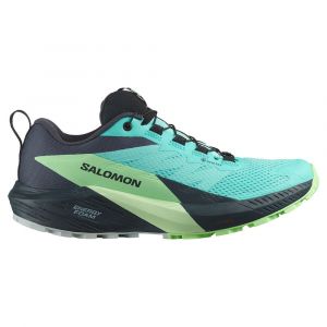 Salomon Sense Ride 5 Goretex Trail Running Shoes