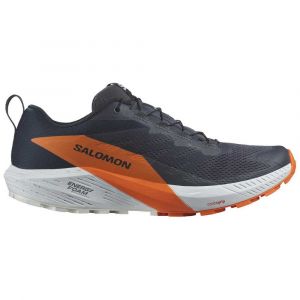 Salomon Sense Ride 5 Goretex Trail Running Shoes