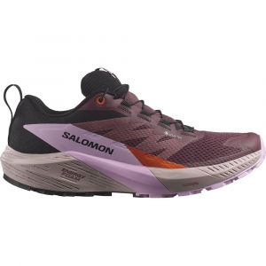 Salomon Sense Ride 5 Goretex Trail Running Shoes