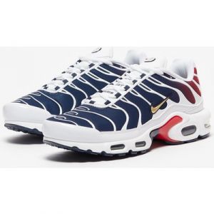 Nike Sportswear Air Max Plus PSG