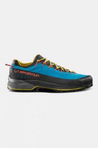 Mens TX4 Evo GTX Shoes