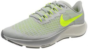 Nike Men's Pegasus 37 Running Shoe