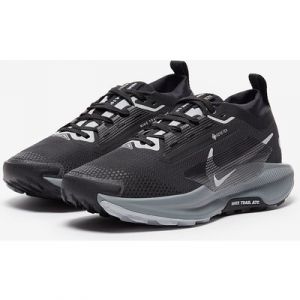 Nike Womens Pegasus Trail 5 GORE TEX