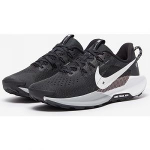 Nike Pegasus Trail 5