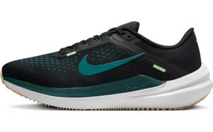 Nike Men's Air Winflo 10 Running Shoe