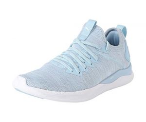 PUMA Women's IGNITE Flash evoKNIT Wn's Training Shoes