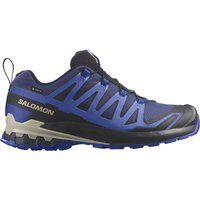 Salomon XA Pro 3D V9 Gore-Tex Trail Running Shoes - Blue Print/Surf The Web/Lapis Blue / UK11